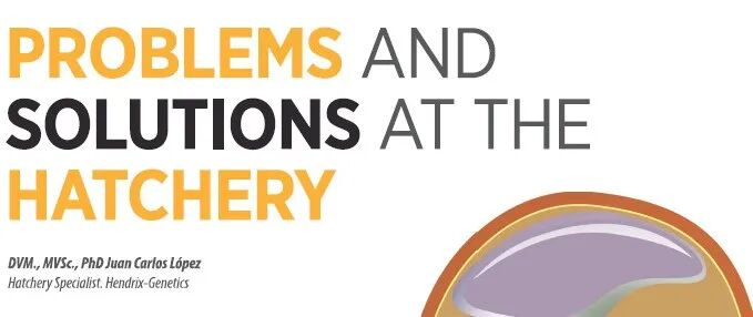 Problems and Solutions at the Hatchery