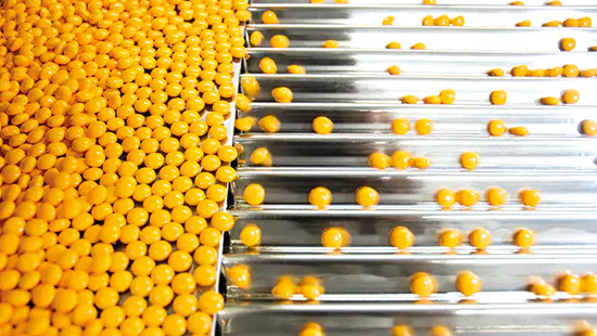 Pharmaceutical Manufacturing Zimbabwe.webp