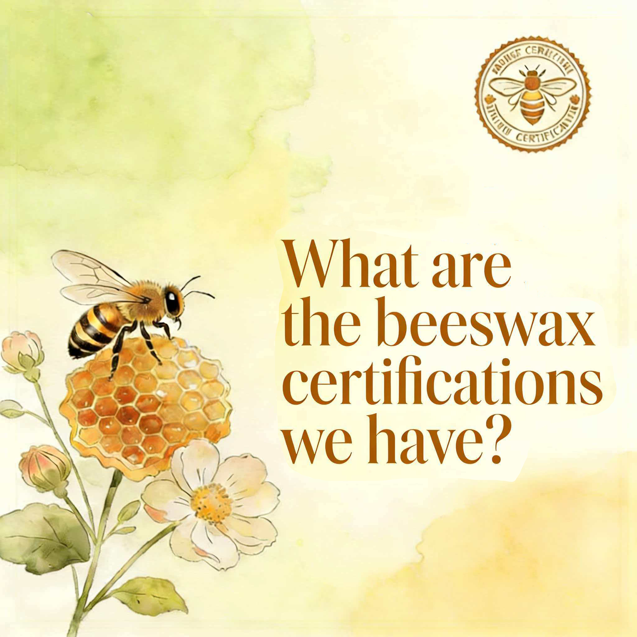 Beyond the Flame: Understanding the Purity and Certifications of Our Beeswax