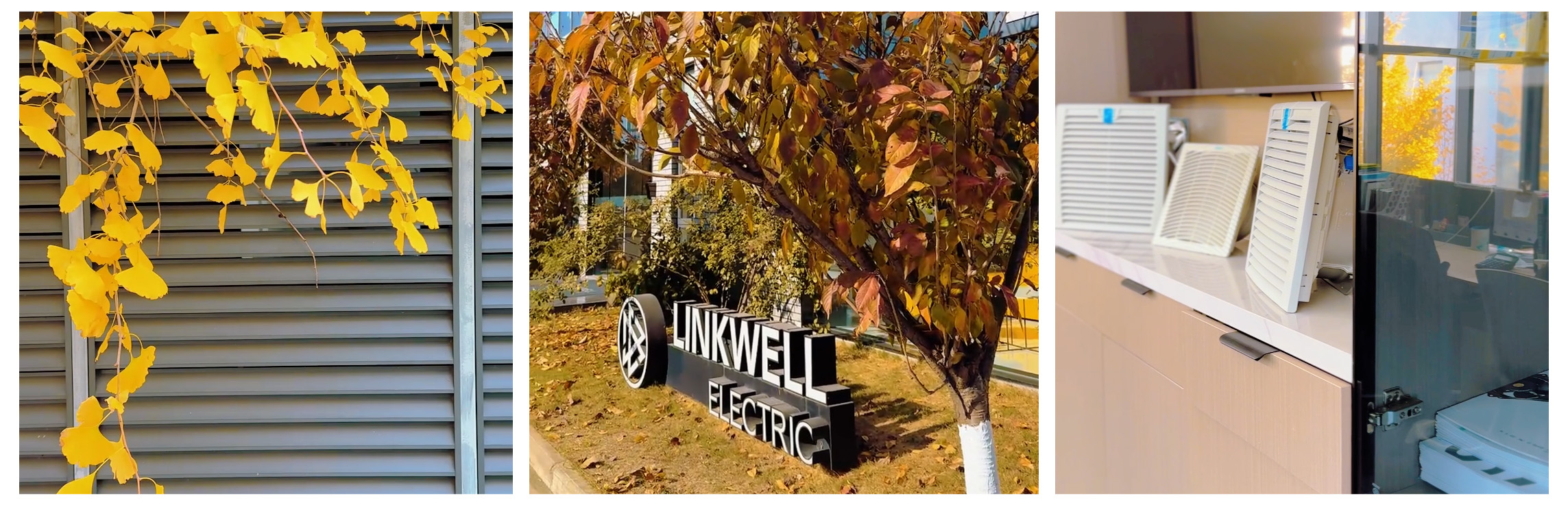 Autumn at Linkwell-.jpg
