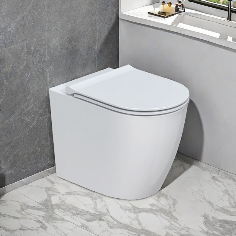Toilet Daga Zamin European Pan Shape Da Labarar Binciken Back-to-wall installation AHB2333H