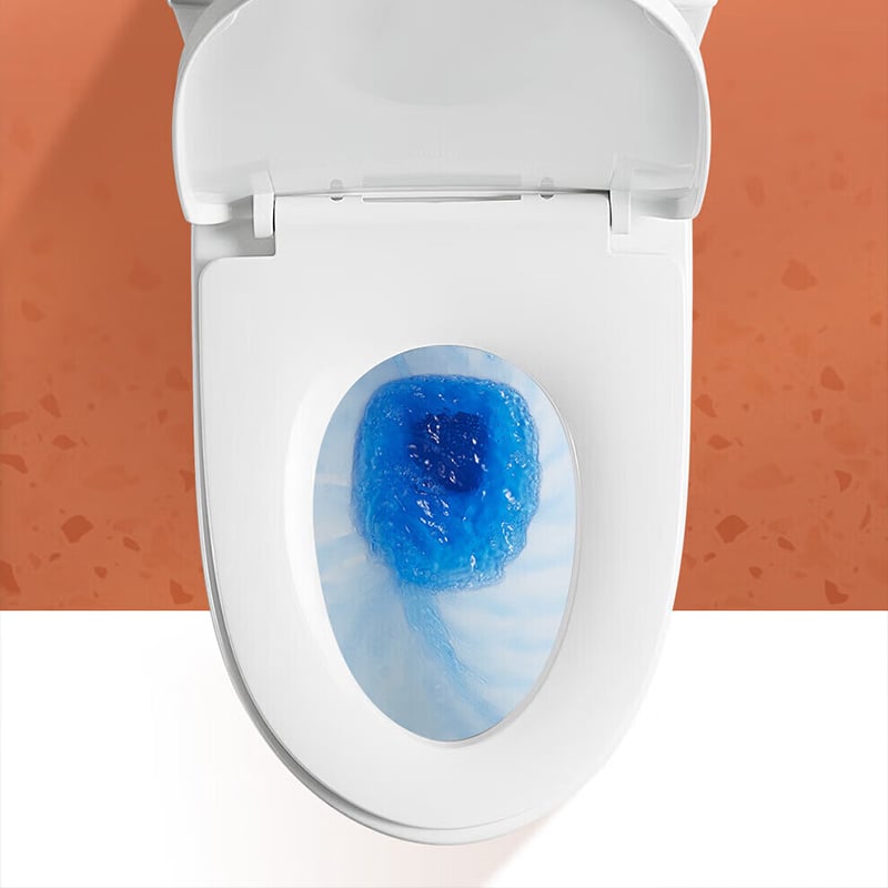 Arrow Water Closet Toilet Set Toilets Wc 1-Piece Ceramic Toilet Floor Mounted with Dual-Flush AE1205U