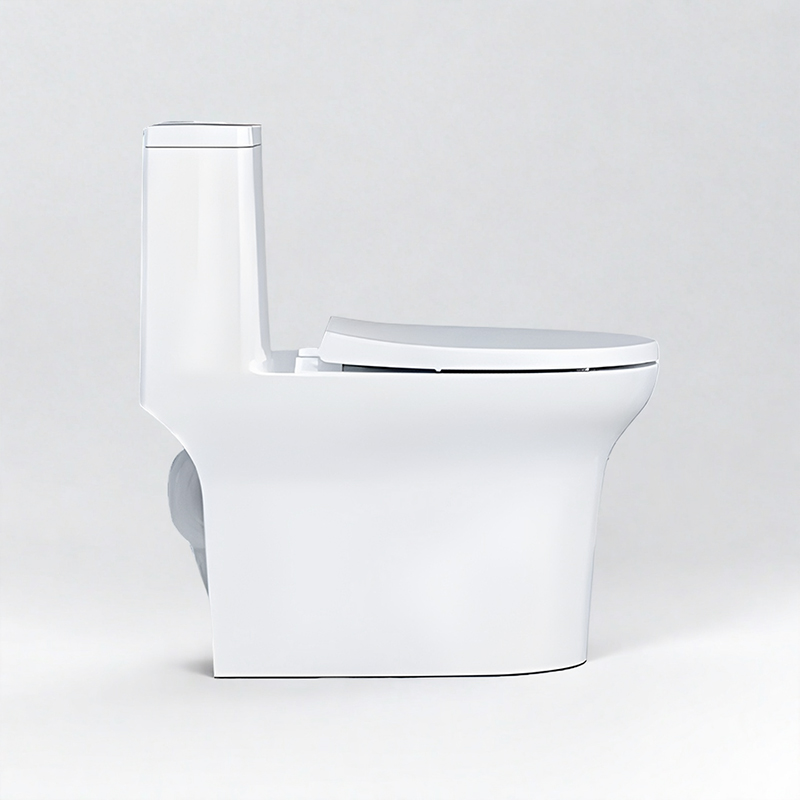 Arrow Modern Bathroom Toilet Floor One Piece Toilet Ceramic White Set S-trap Toiletwith Dual-Flush