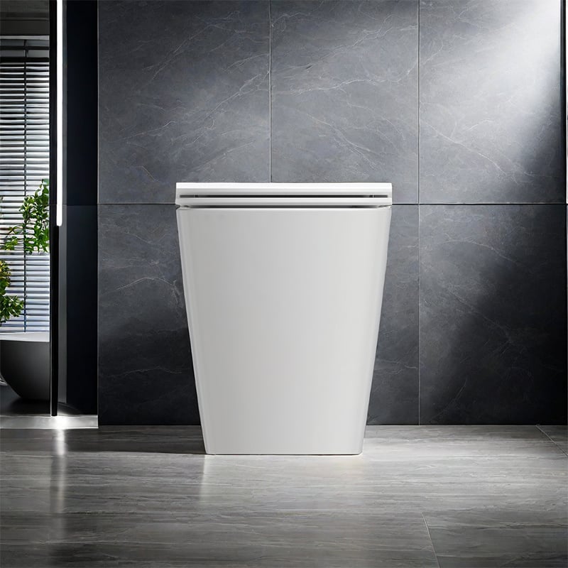 Floor-standing Toilet Back-to-wall Installation AHB2334H