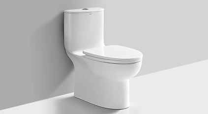 Ordinary Toilets
