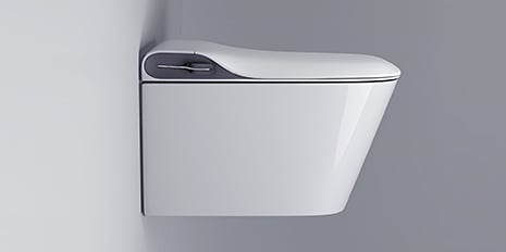 Smart Toilets
