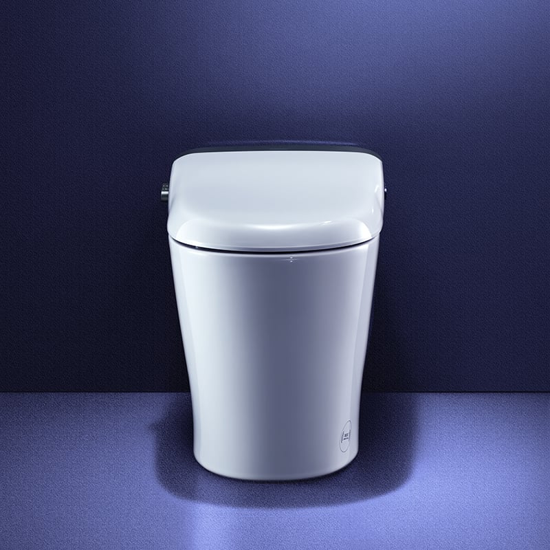 تصميم إبداعي وأنيق لمرحاض واقف على الأرض AKB1332