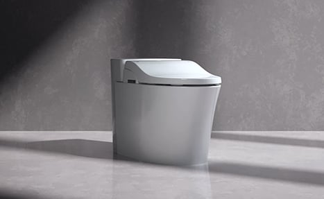 Prezentacja Technologii Intelektualnych Toalet ARROW