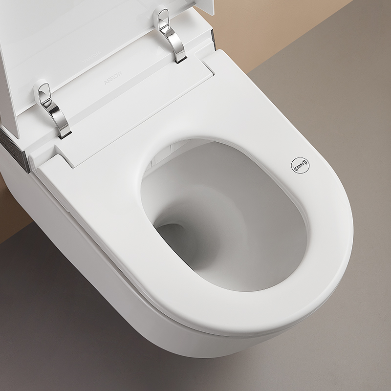 Wall-hung Wash Down Rimless P-trap Dual Flush Smart Toilet AKH1051H