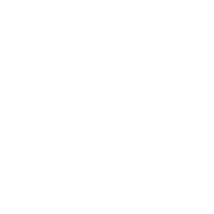 Review & Project Approval