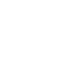 Testing & Verification