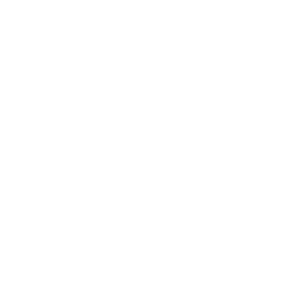Full-link Independent & Controllable