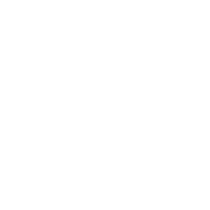 Customized Rapid Response
