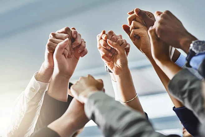 Company Declaration