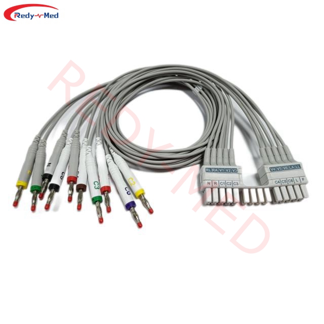 Compatible With Mortara Buidick ELI 150C, ELI 230, ELI 250C, ELI 280, ELI 350, ELI 380 10 Lead EKG Leadwire