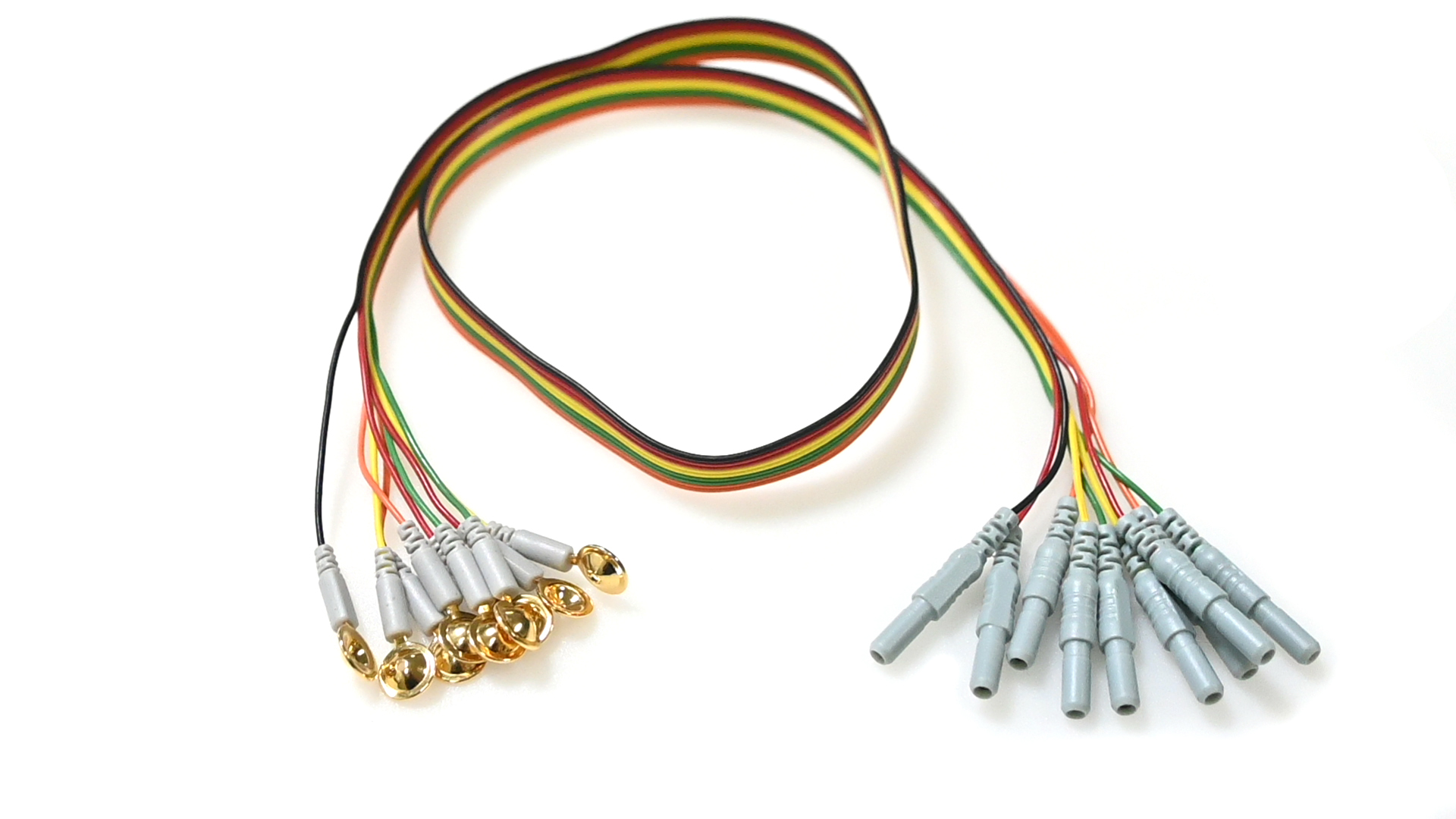 eeg leads Applications in Research
