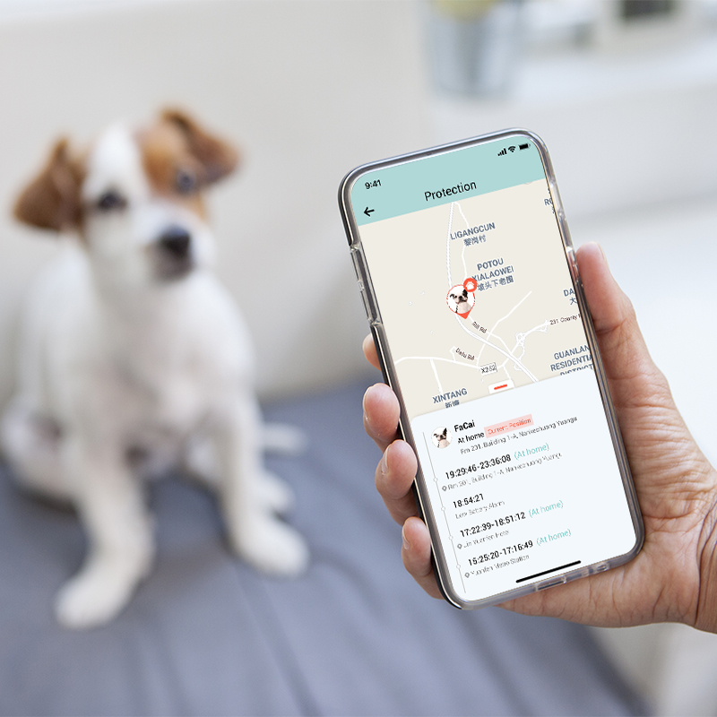 dog walker app gps tracker.jpg