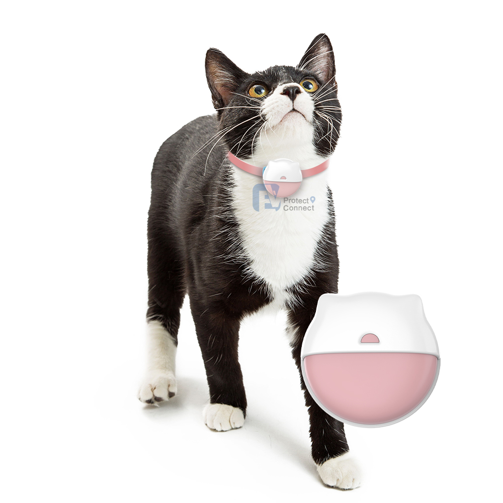 What History Data Should a pet gps tracker App Save for Owners?