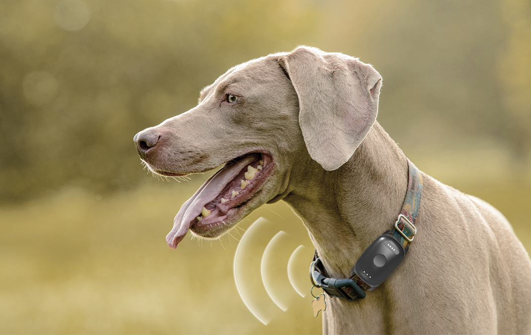 Providing Convenient Pet Tracking Services