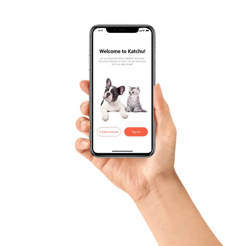 Global Standards for Pet GPS Tracking: Eview GPS Technology's Compliance