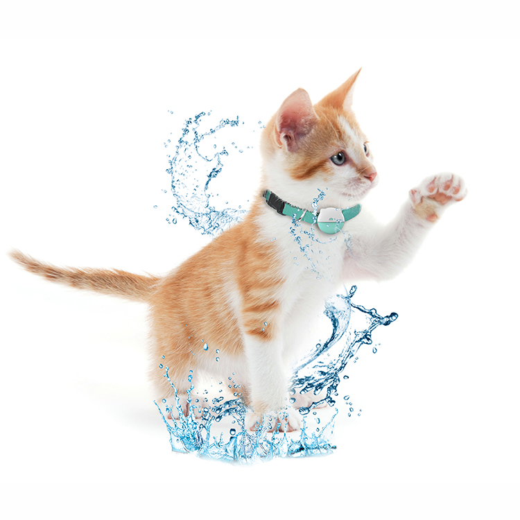 Are Cat Tracking Collars Safe for Small or Delicate Breeds?