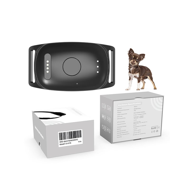 Why Should You Invest in a GPS Dog Tracker for Active Dogs?