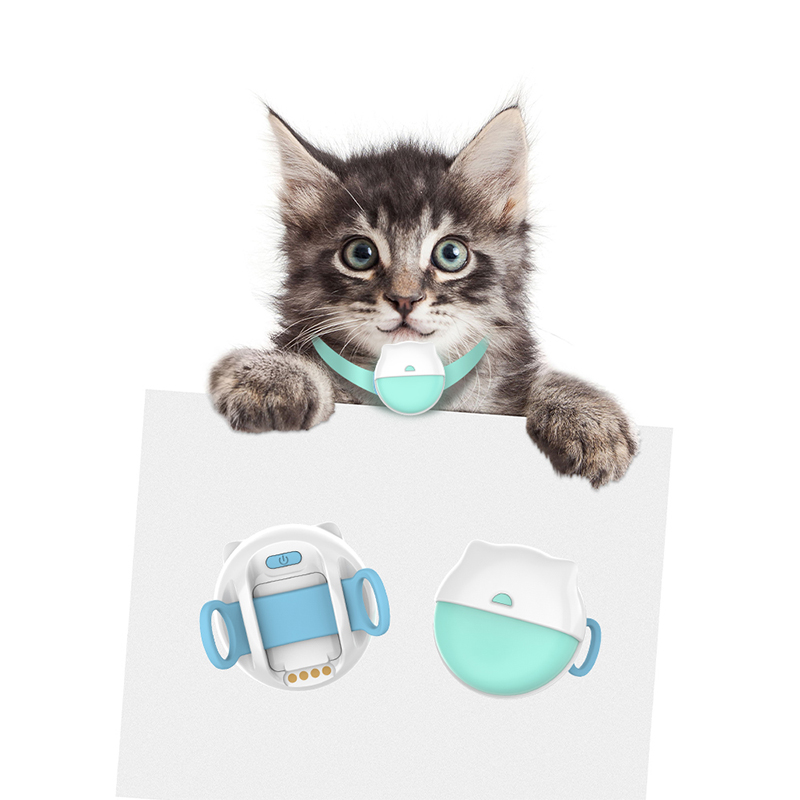 smallest cat tracker.jpg