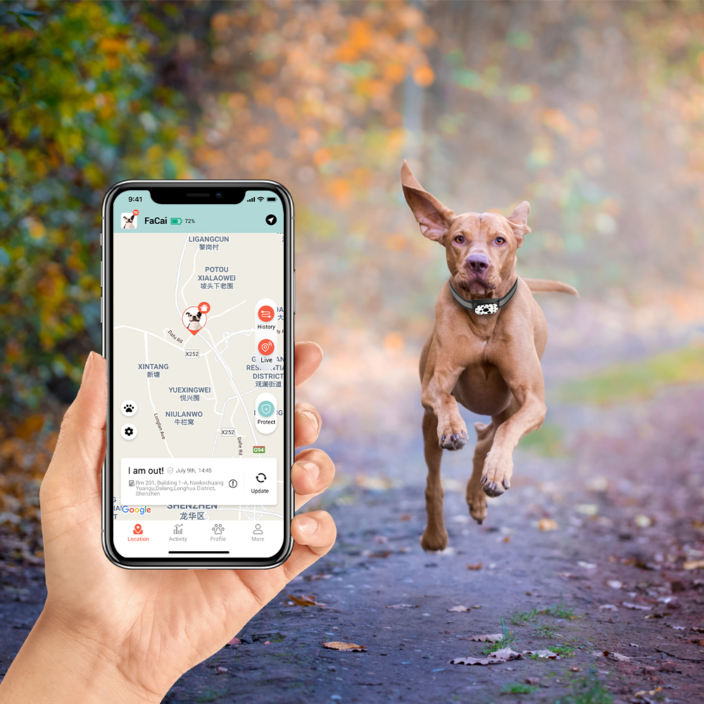 What Are the Benefits of Waterproof GPS Dog Collars?