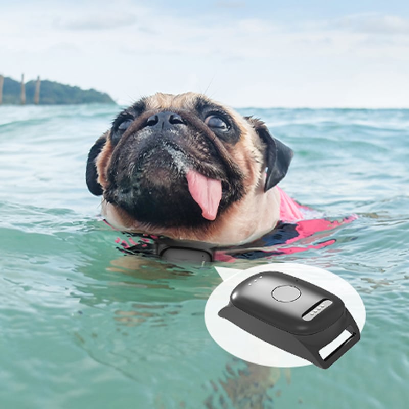 How Can a waterproof gps locator Track Pets Through Rain and Mud?