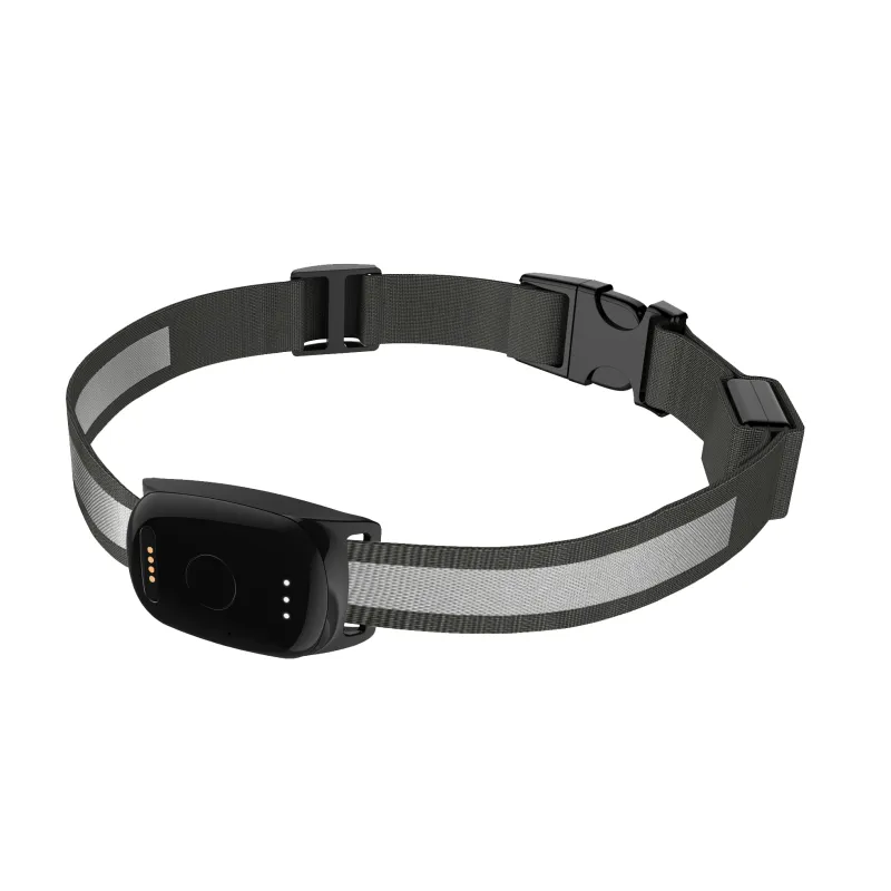 What Should Buyers Look for When Choosing the Best Dog Tracking Device?