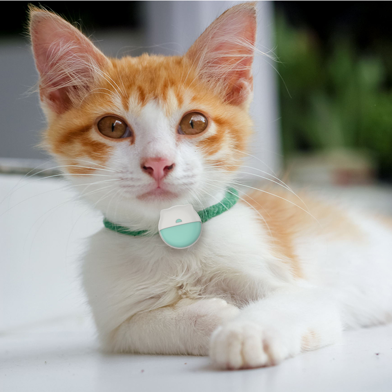 What Features Make Cat GPS Trackers Ideal for Commercial Clients?