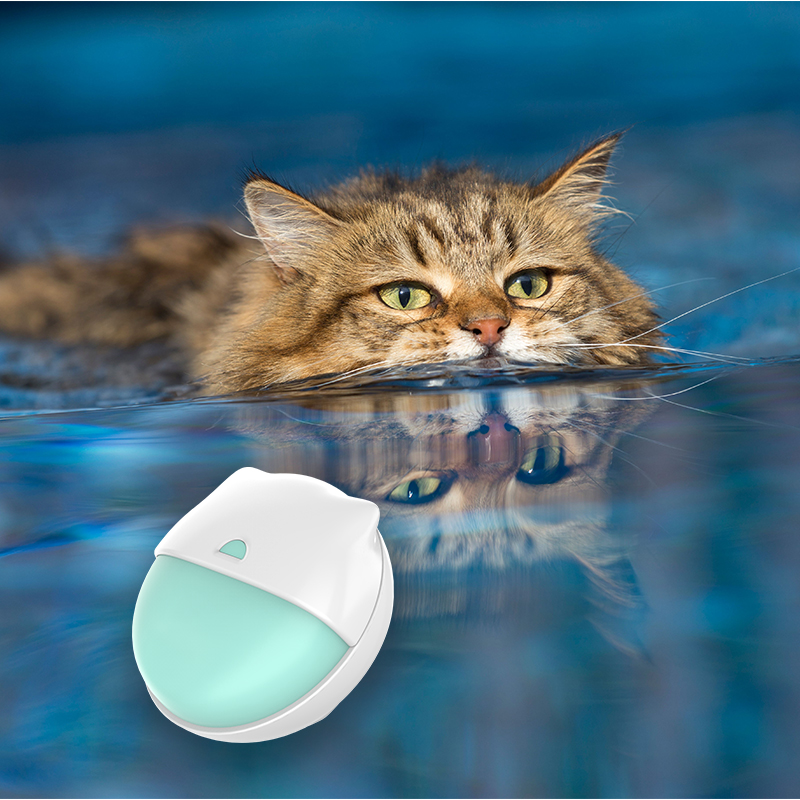 How Can a pet location tracker Show Where Pets Wander After Dark?