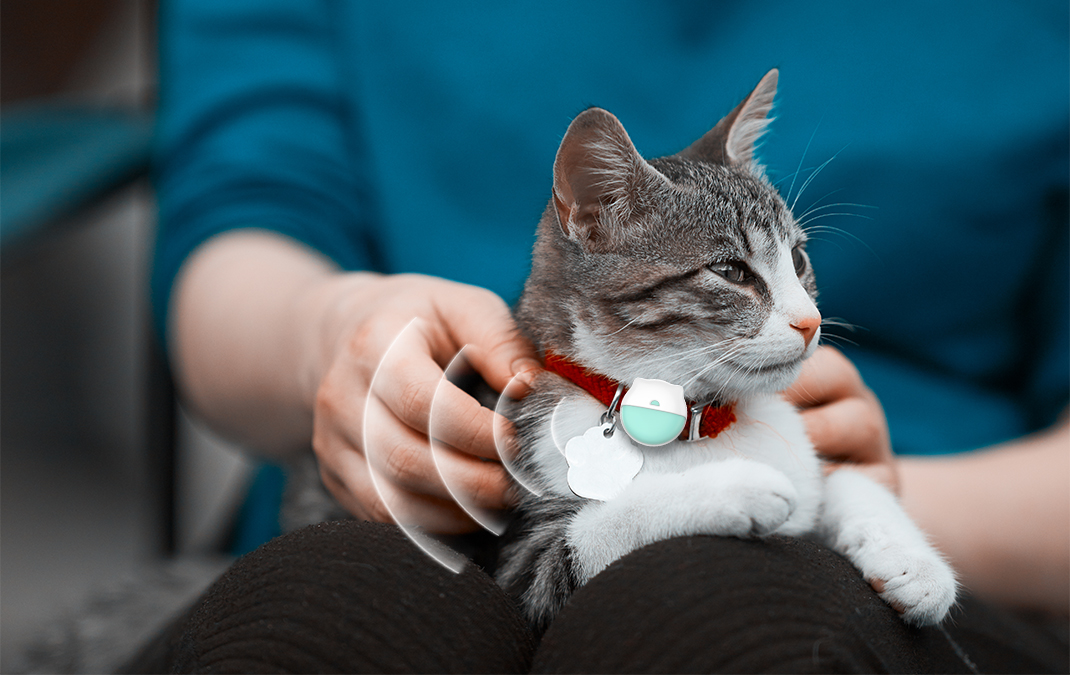 B2B Guide to Selecting Pet Trackers: Balancing Cost and Performance