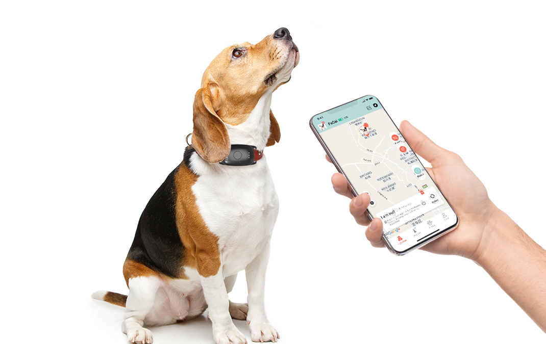 Reliable Pet Tracking Solutions for Dogs and Cats