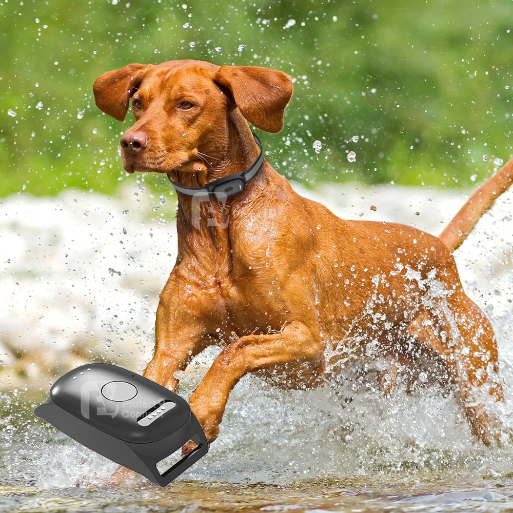 How Can a gps dog tracking system Manage More Than One Dog at Once?