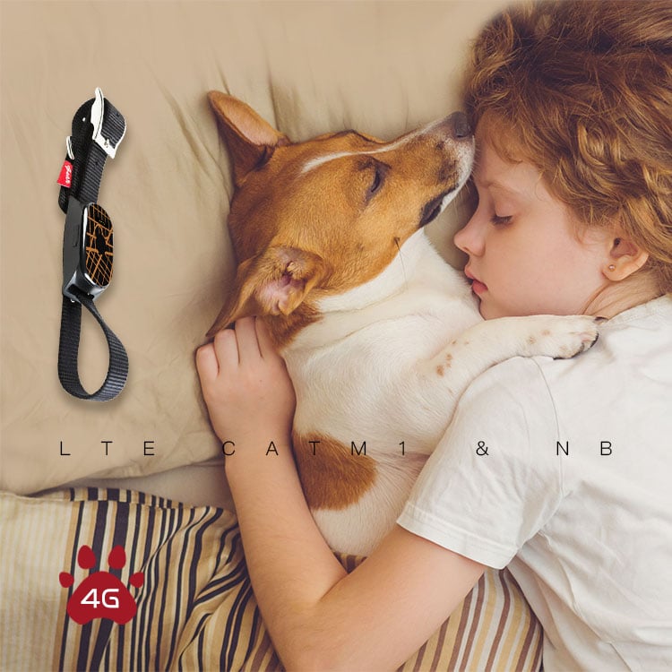 How Can a gps tracker for dogs Help Prevent Lost Pet Emergencies?