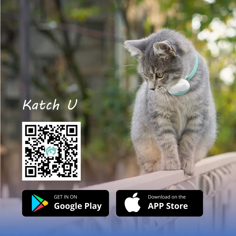 Bagaimana Aplikasi GPS Haiwan Peliharaan Boleh Membantu Pemilik Mengesan Pergerakan di Peta Langsung?
