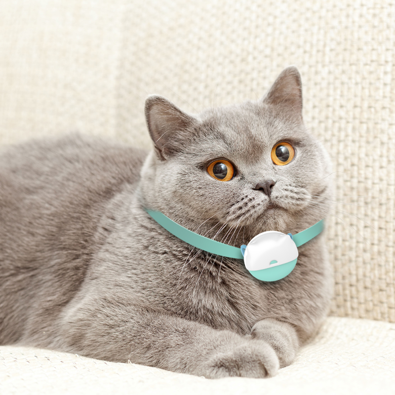 How Can Pet Trackers Drive Innovation in the B2B Pet Technology Market?