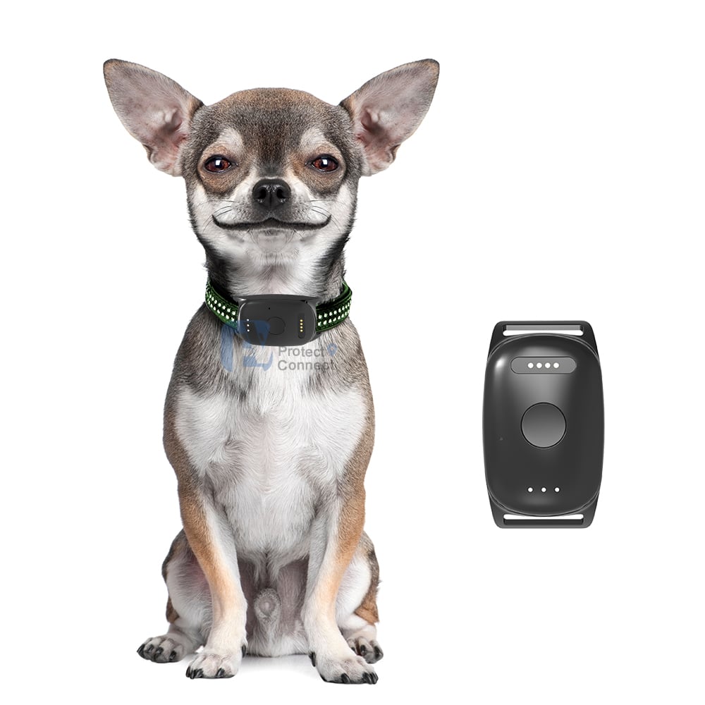 Why Are GPS Dog Trackers Becoming Popular Among Dog Owners?