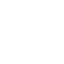 2006