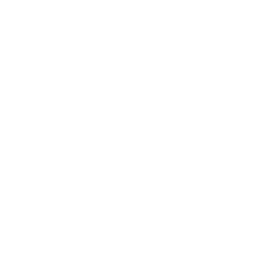 ⅲ