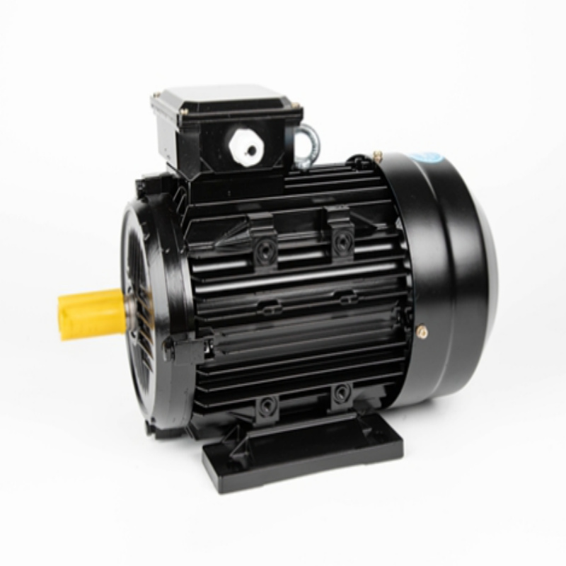 Moteur PMSM à démarrage asynchrone 0,55kW-37kW