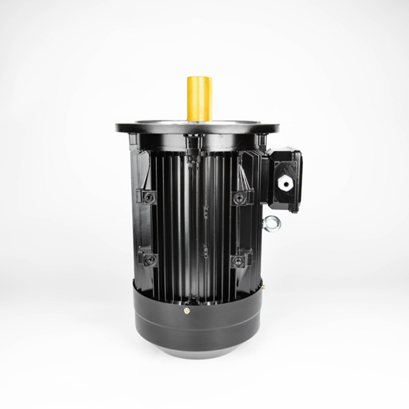 Hava Sıkıcı İçin Elektrik Motoru 7.5kW-132kW
