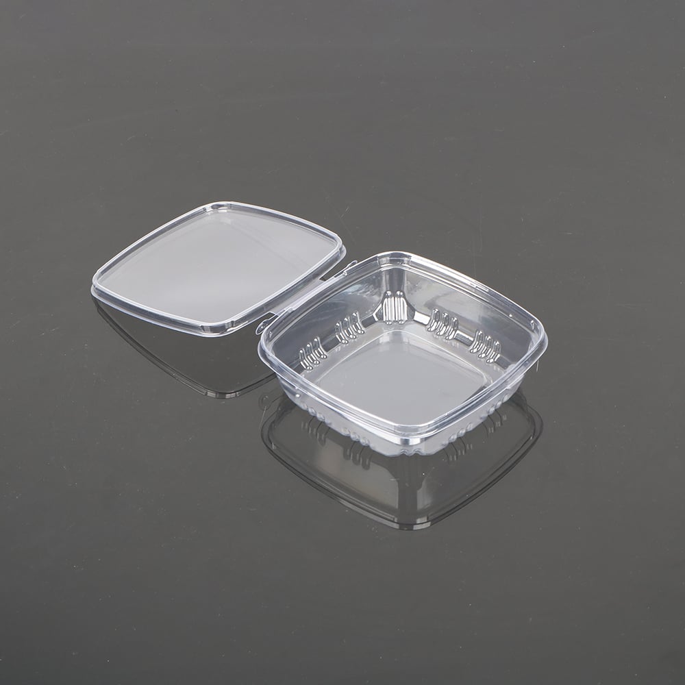 Tear-off PET Hinged Container