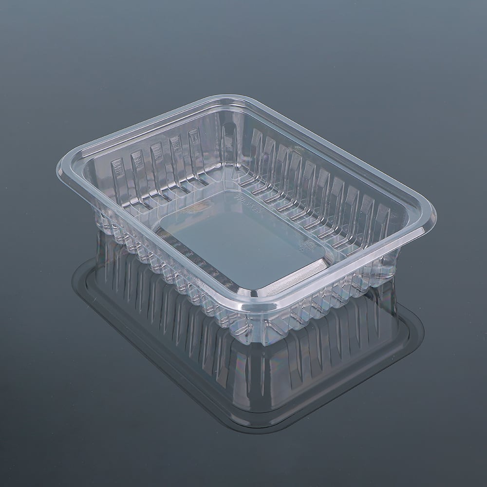 Fresh Food Tray 2015-5