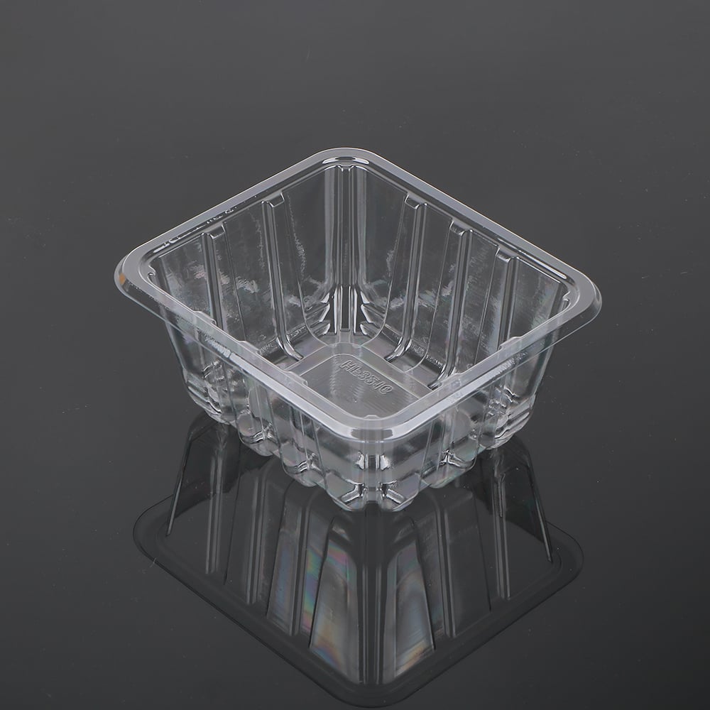 Fresh food tray 1513