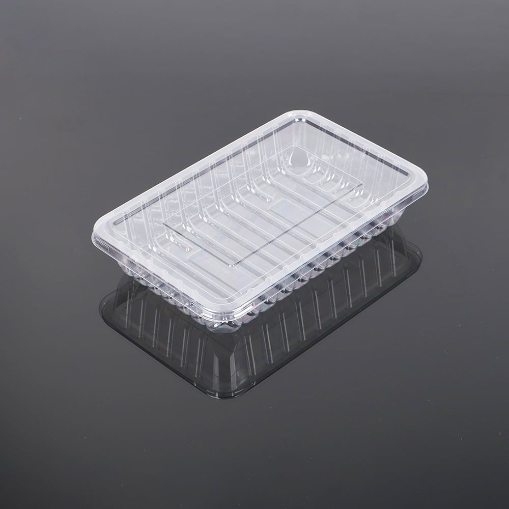 Premium řešení pro podnosy na syrové maso od společnosti Zhejiang Hengjiang Plastic Co., Ltd.