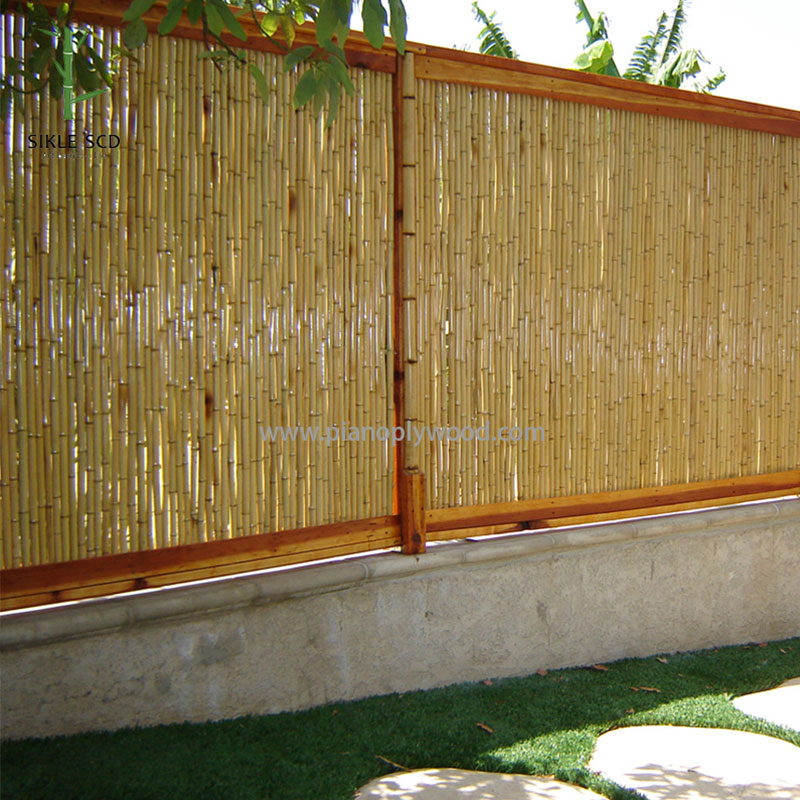 Willow Fencing