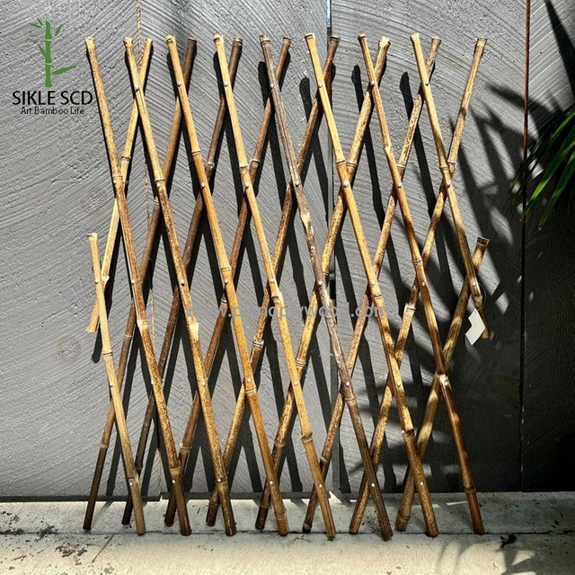 Expandable Fence