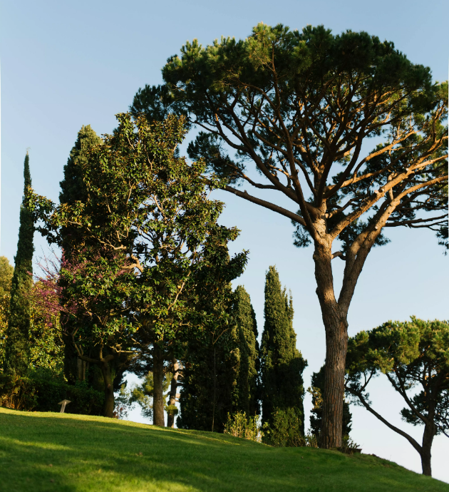image(fd5d72d750).png